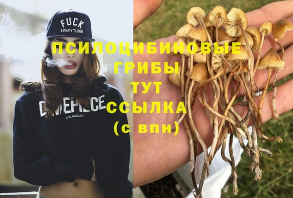 хмурый Кущёвская