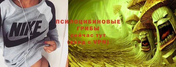 хмурый Кущёвская