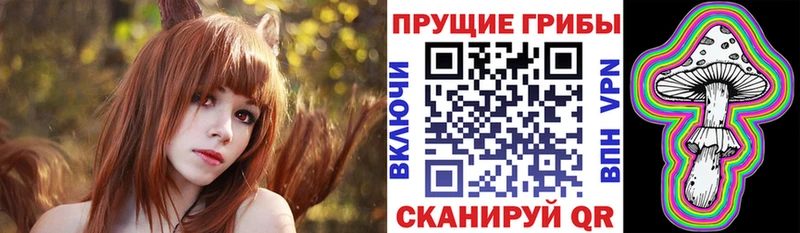 Псилоцибиновые грибы Psilocybine cubensis  Братск 
