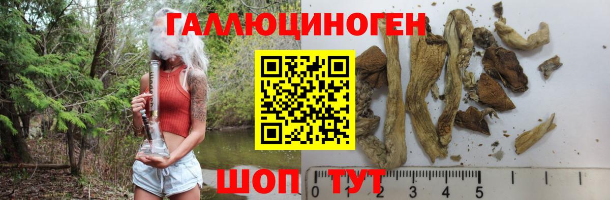 Псилоцибиновые грибы ЛСД  Братск 