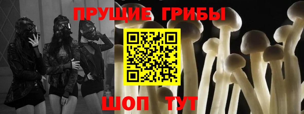 Братск  Псилоцибиновые грибы MAGIC MUSHROOMS  Вход с VPN 